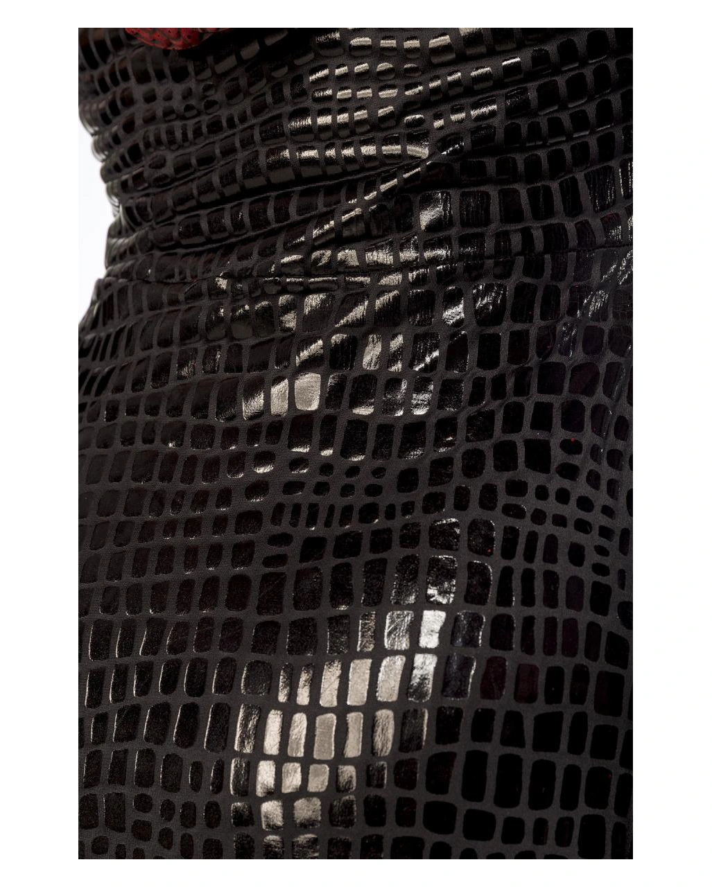 Drachen Lady Kostüm Mit Flügeln 2 Drachen Lady Kostüm Mit Flügeln - Image 2